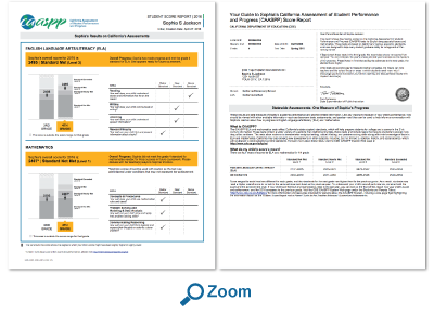 Click here to see an enlarged image of the report
